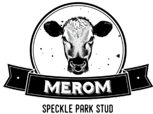 EVEREST 24E ROCKY R5 (ET) (P) (Speckled)